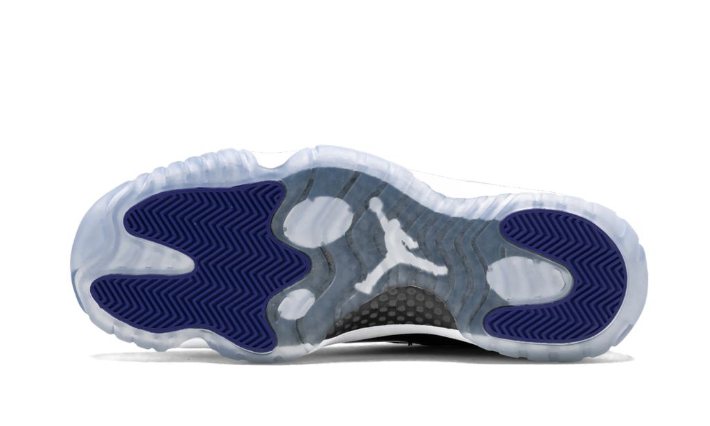 Air Jordan 11 Concord Keesef