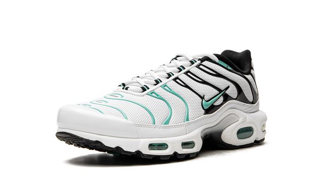 Nike Air Max Plus Atmos Keesef