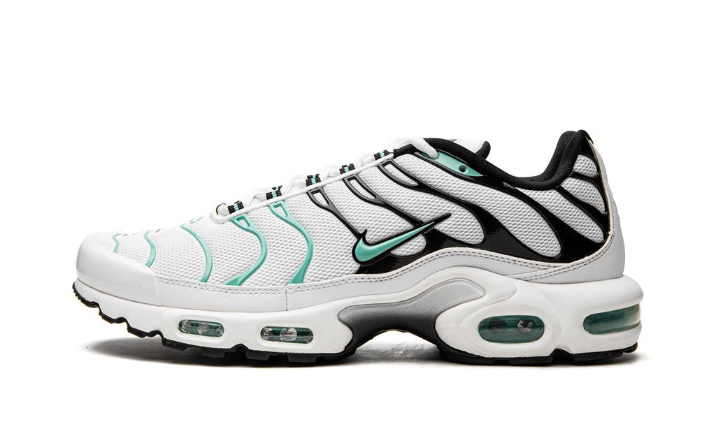 Nike Air Max Plus Atmos Keesef