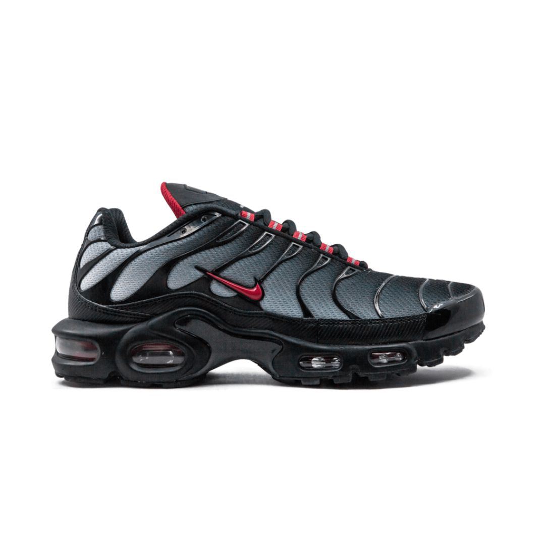 Nike Air Max Plus Blue and Red Keesef