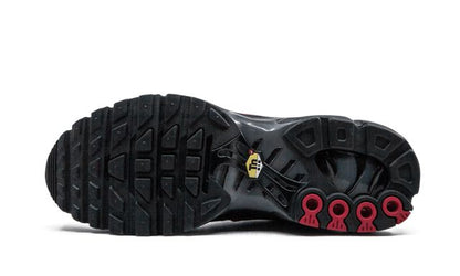 Nike Air Max Plus Blue and Red Keesef